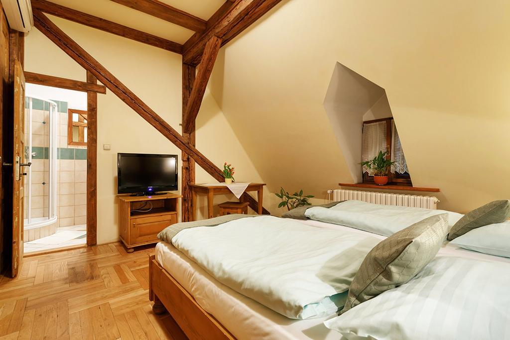 Penzion U Kriveho Psa Frýdek-Místek 部屋 写真