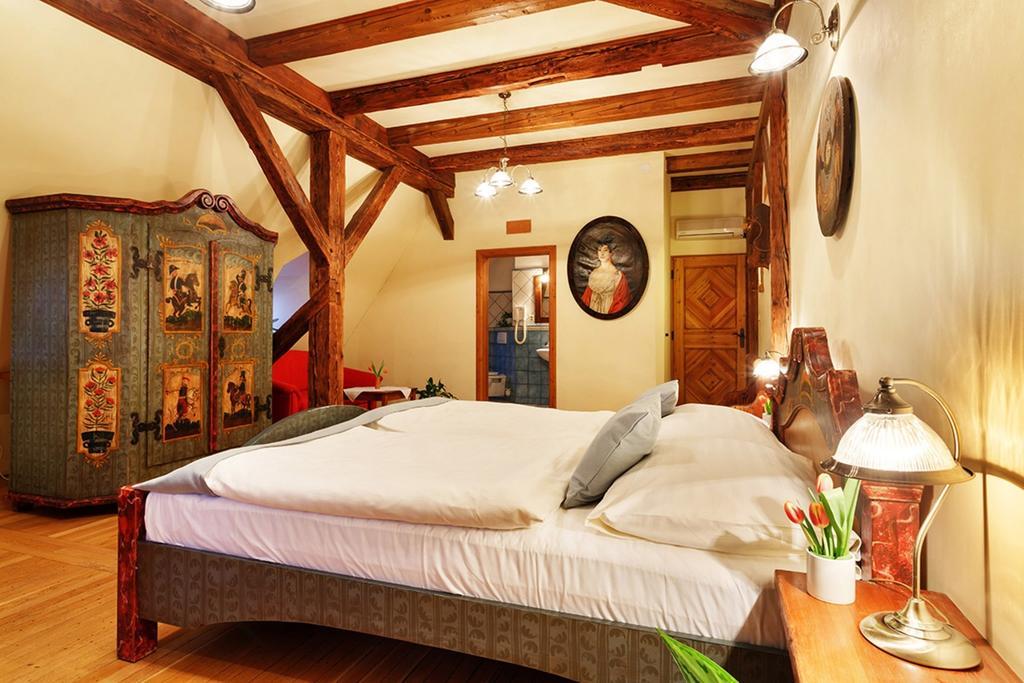 Penzion U Kriveho Psa Frýdek-Místek 部屋 写真