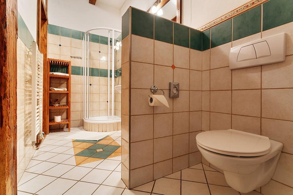 Penzion U Kriveho Psa Frýdek-Místek 部屋 写真